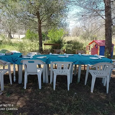 La Petraia *