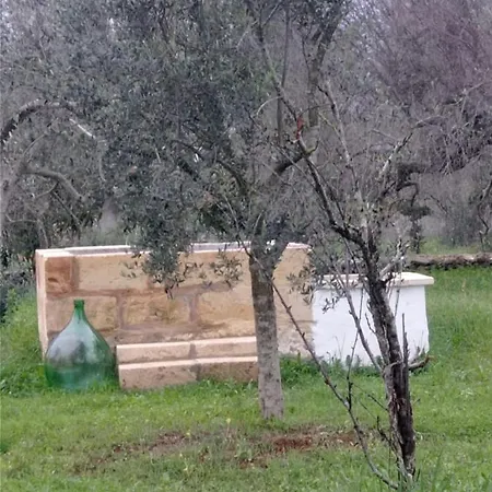 La Petraia Magliano