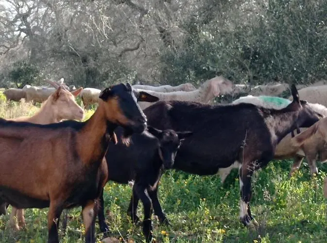 Prázdninový dům La Petraia