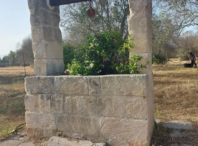 La Petraia *